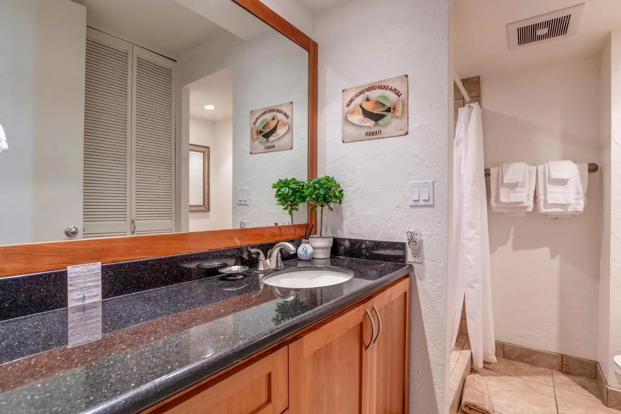 Holiday home Papakea D207 Villa Kahana United States